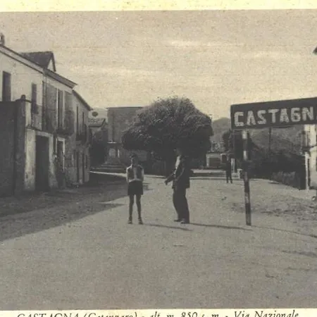 Castagna * Carlopoli