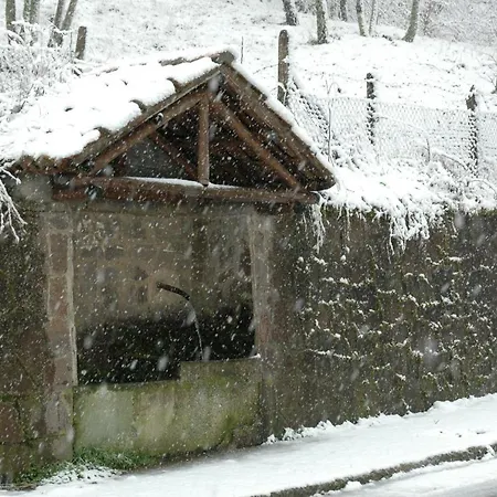 Castagna * Carlopoli