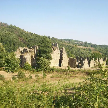Castagna Carlopoli