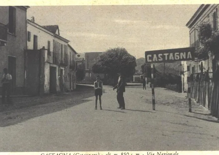 Castagna * Carlopoli