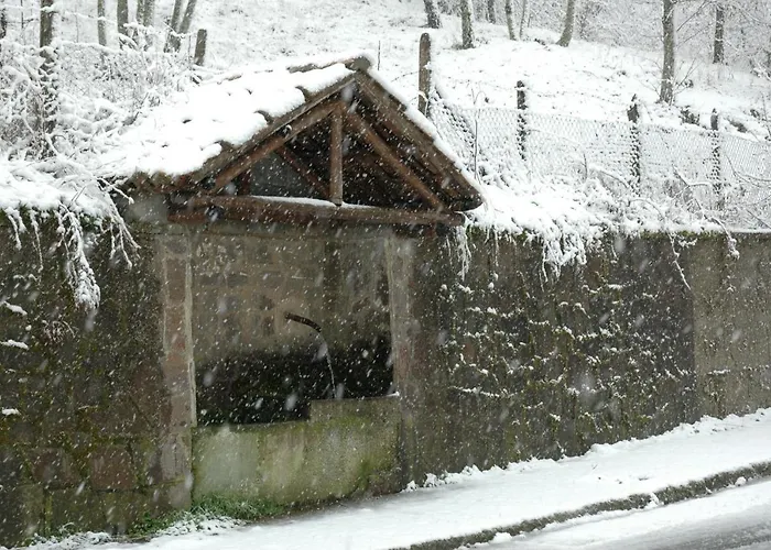 Castagna * Carlopoli